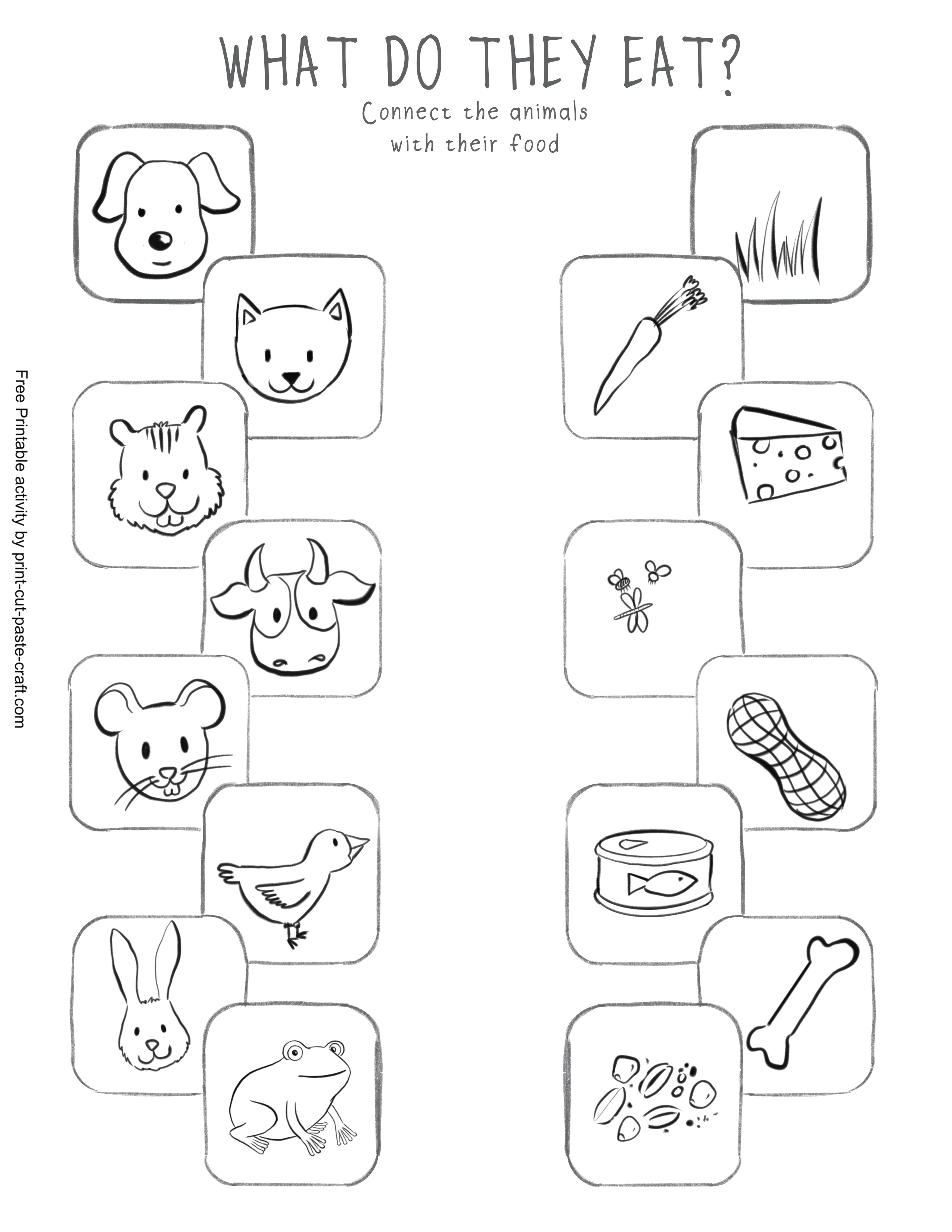 Animal food activity free printable activity by print-cut-paste-craft.com