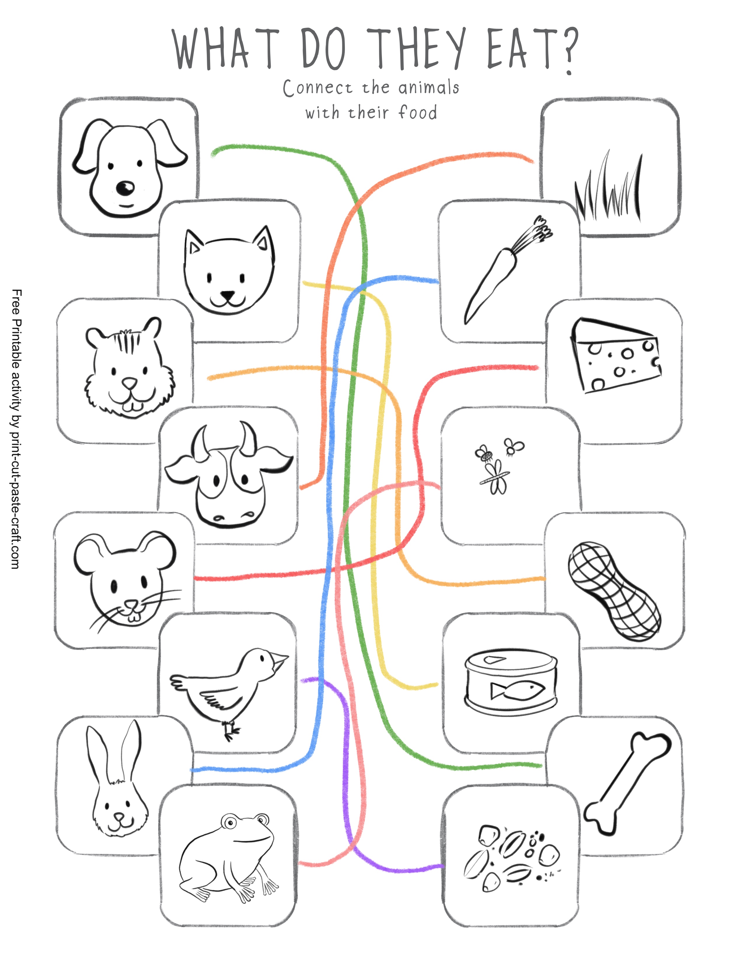 Feed the Animals Free Printable Activity/Worksheet